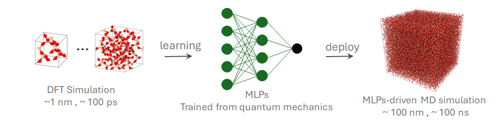 Workflow from DFT-labeled simulation data to MLP-driven molecular dynamics